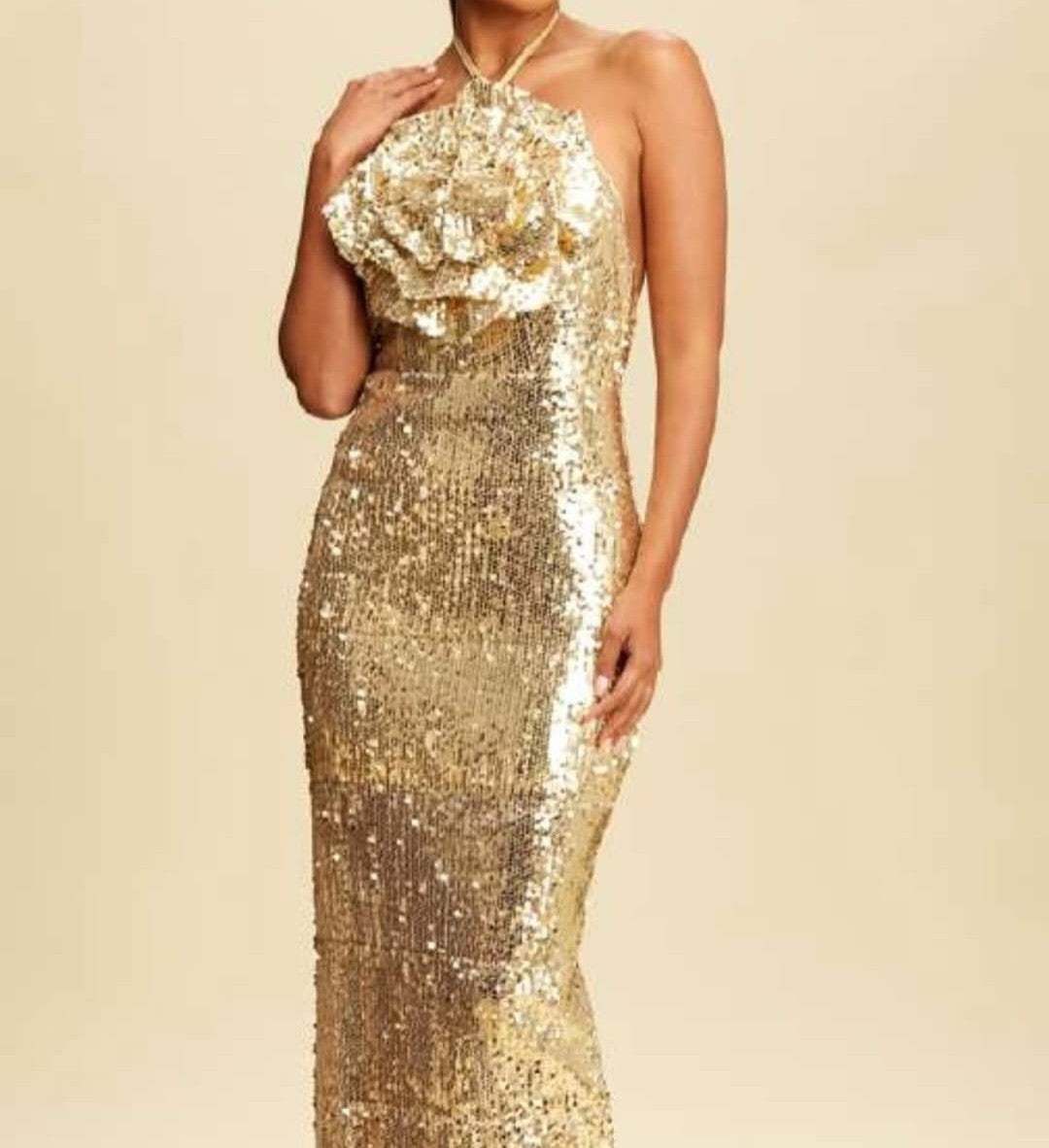 Vestido Largo Sequins & Flower Dress