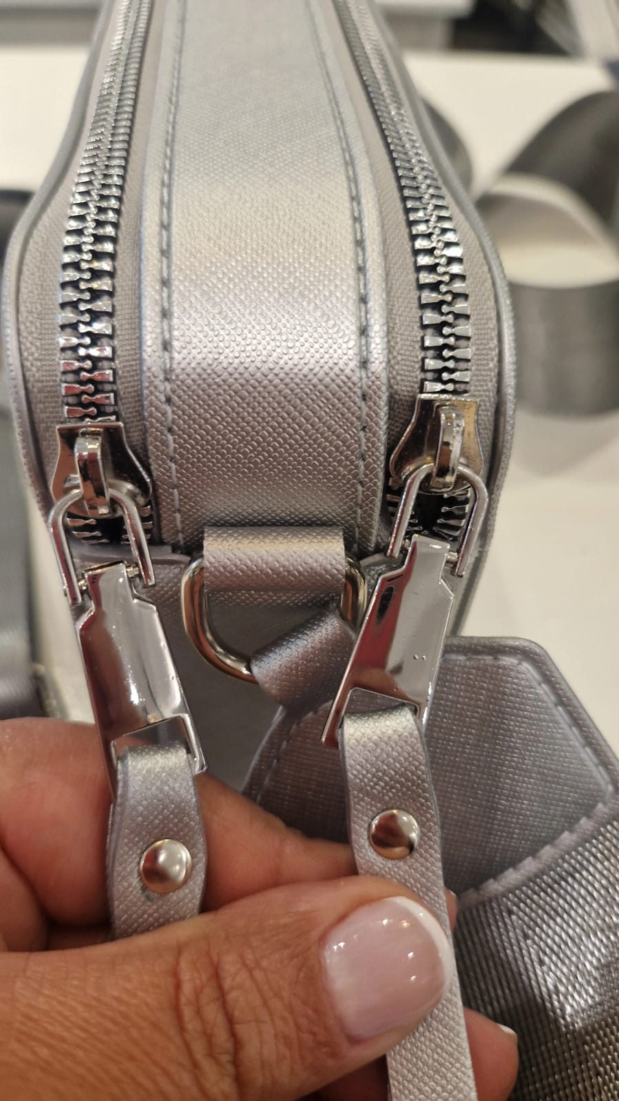 CARTERA THE MINI BAG