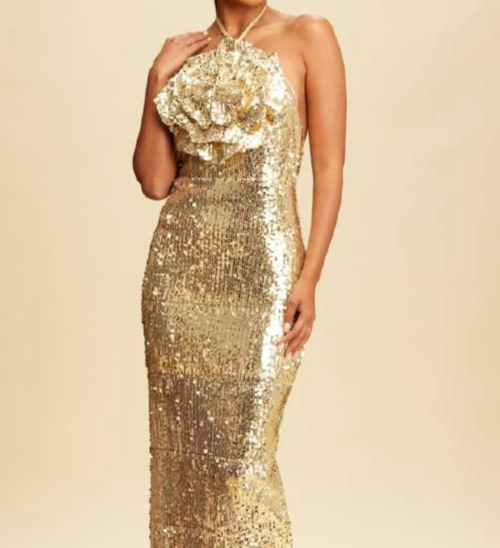 Vestido Largo Sequins & Flower Dress