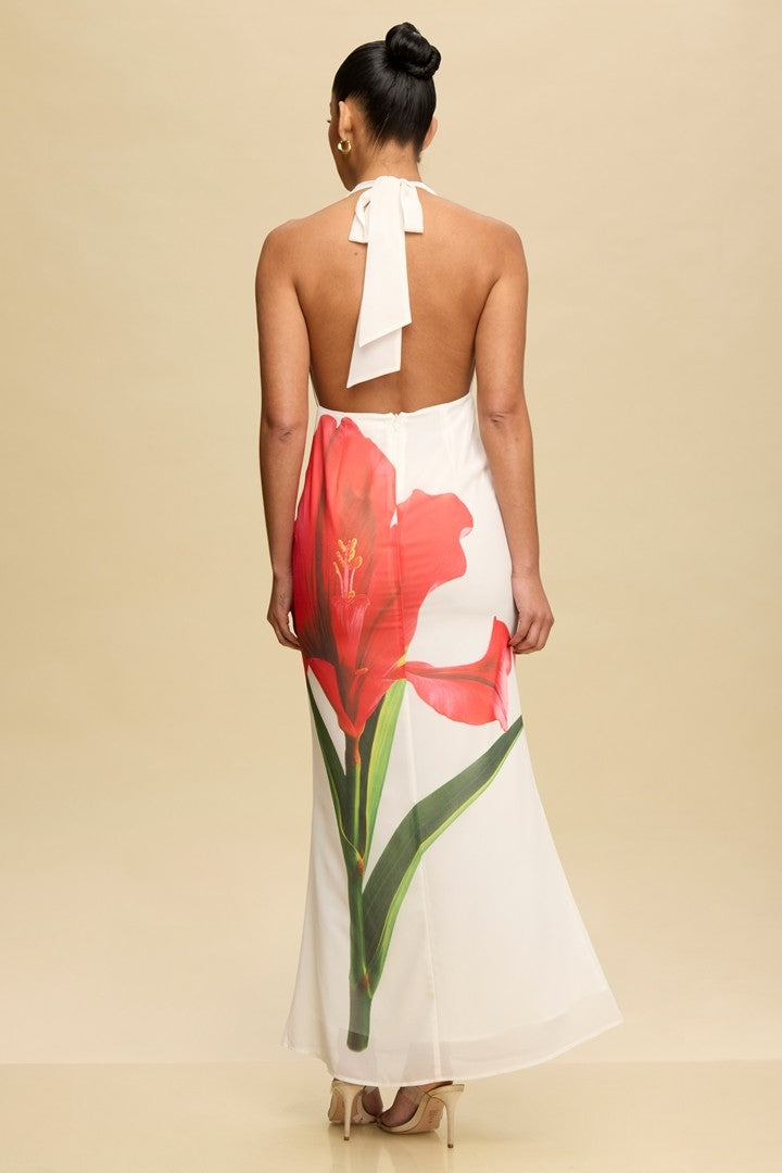 Vestido Largo Long Dress Amapola