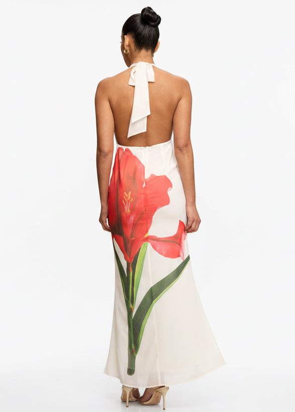 Vestido Largo Long Dress Amapola